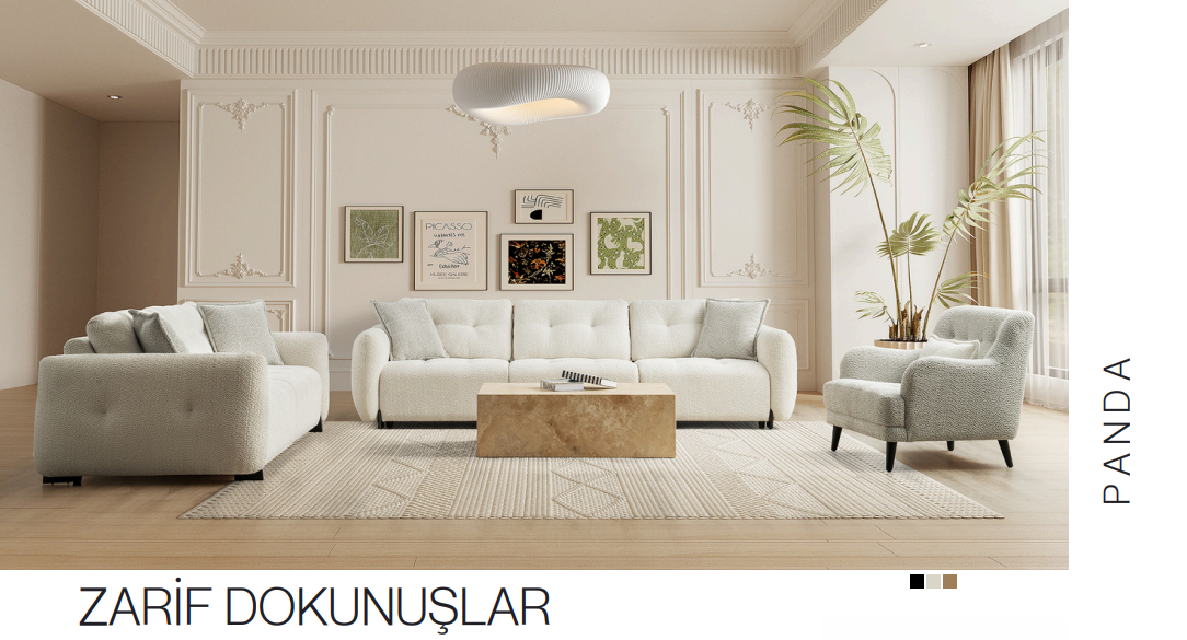 living rooms and sofas